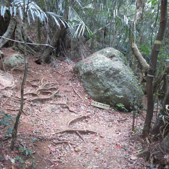 麓からの登山道と合流