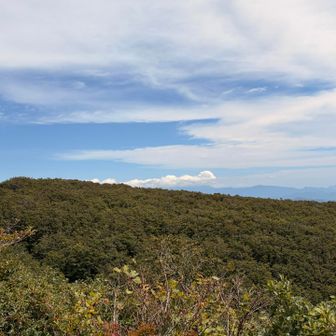葉山山頂