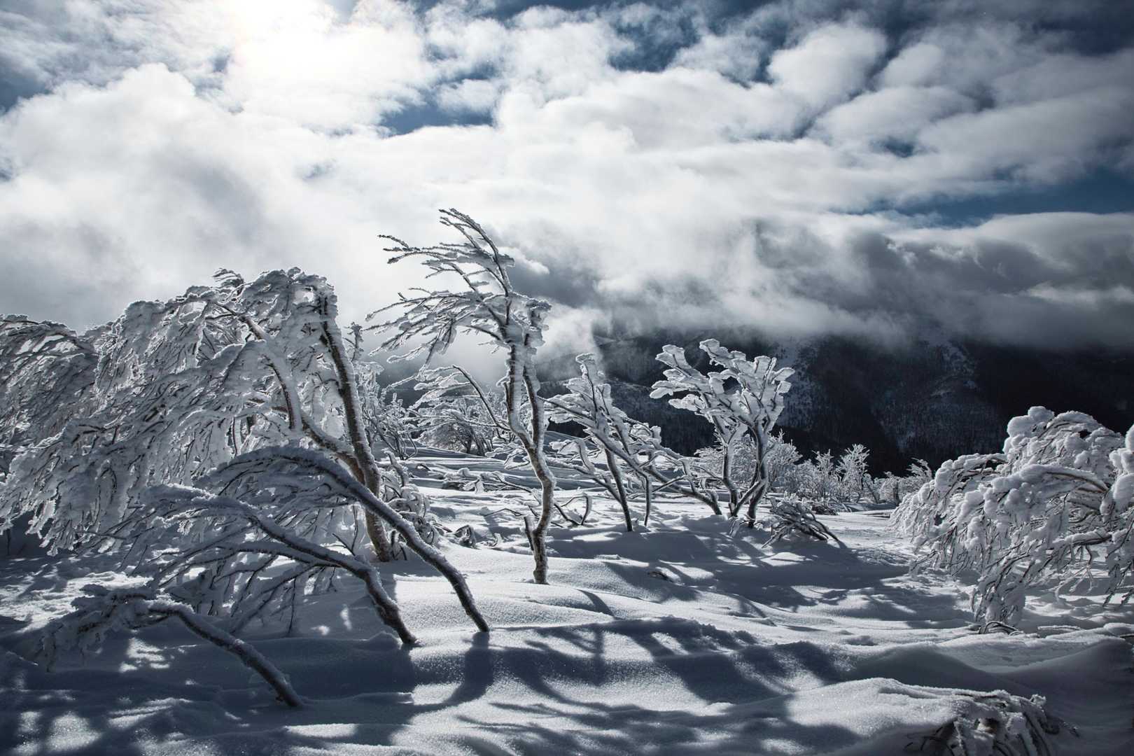 山頂は樹氷と影がキレイでした