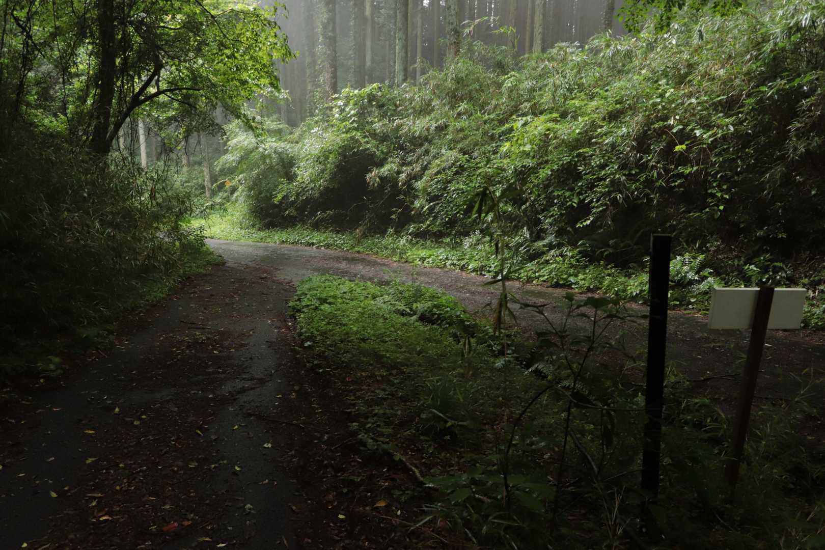 戻って来た
この分岐で振り返って、ふと気になった『アマンジャクの重ね岩』