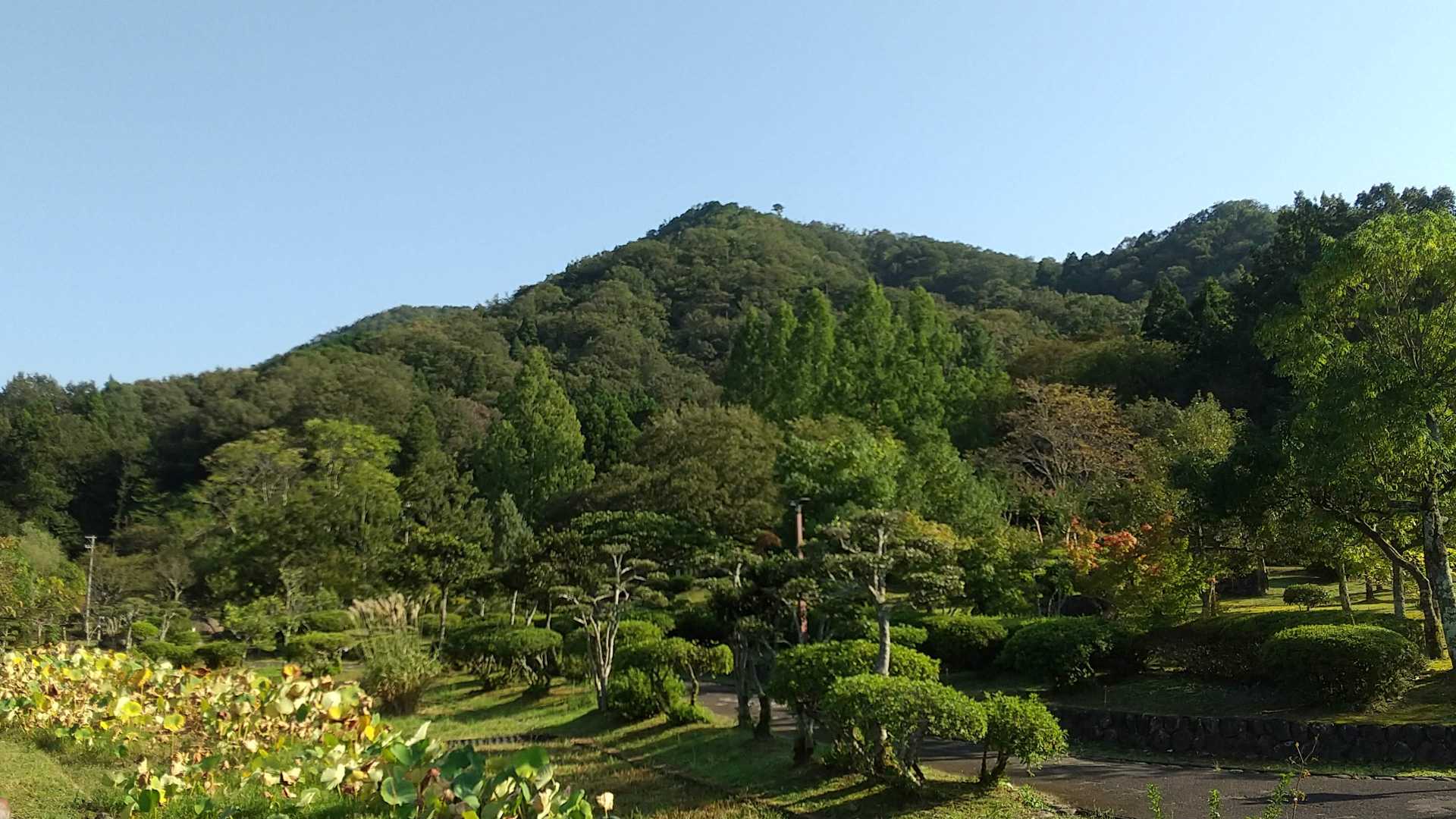 武衛山