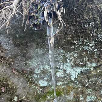 来年も氷瀑見に行けたら良いな！