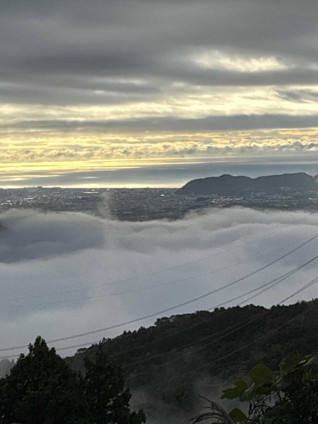 相模湾も見えましたー
