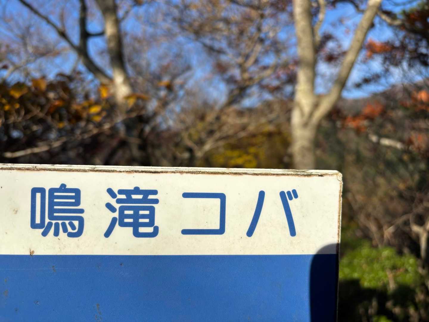 コバ　鈴鹿によくある