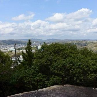 千光寺山の三角点
八畳岩から