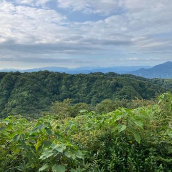 僕のいく尾根と黒姫山(右奥)