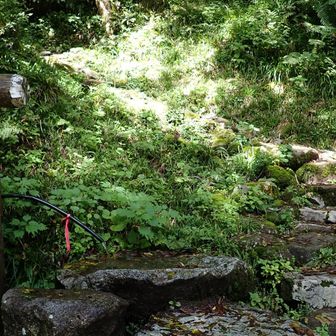 一気に登山口へ