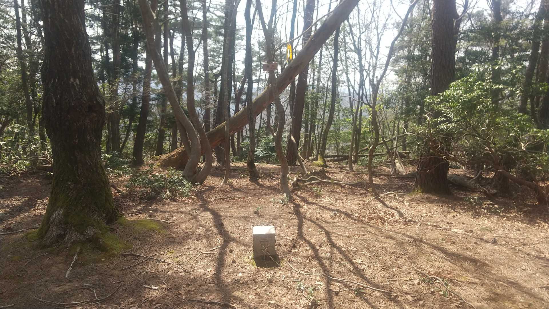 三等三角点（麻生）