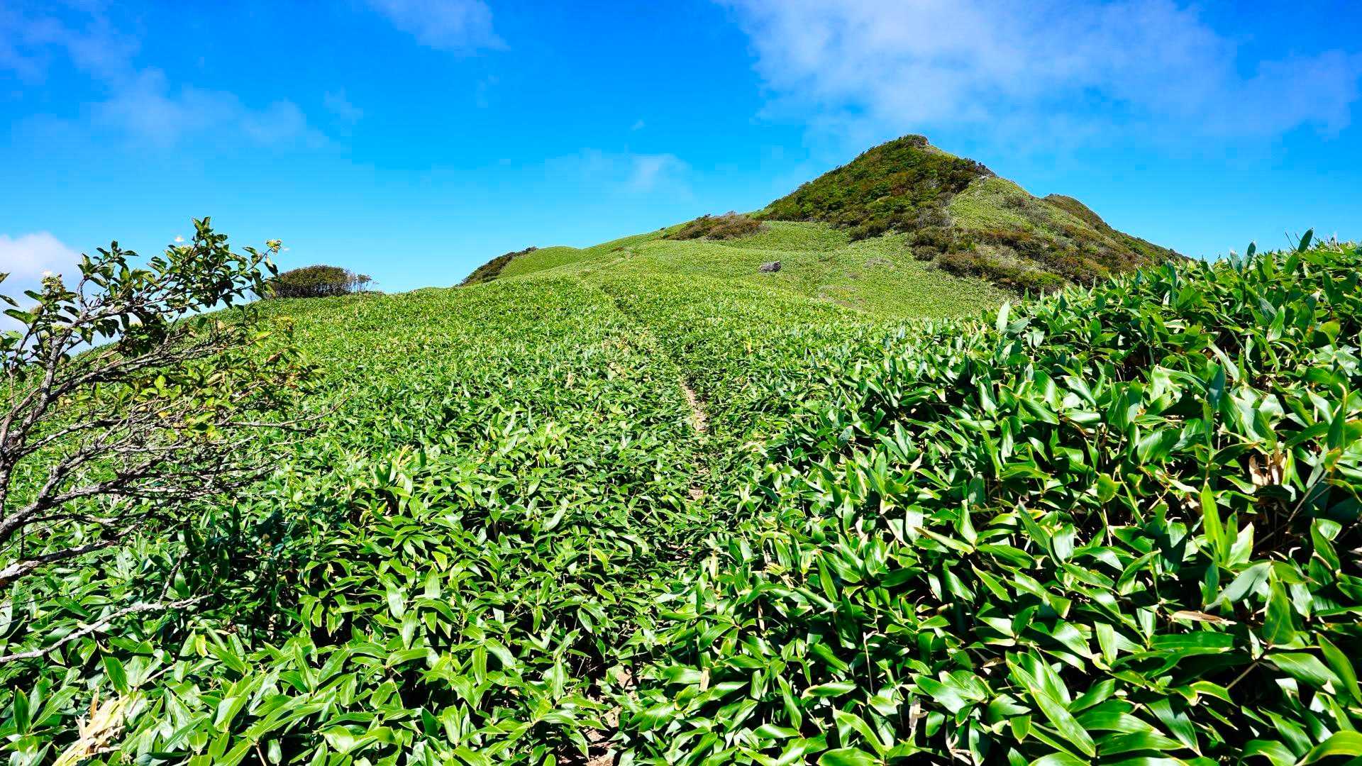 旧寒風山トンネル南口-桑瀬峠-寒風山-笹ヶ峰-笹ヶ峰南登山 縦走コースの写真