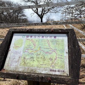 高原と牧場の道