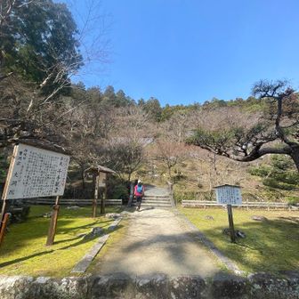 @大洞院
もう少し後の新緑の時期を
見せたかったなぁーー🍀