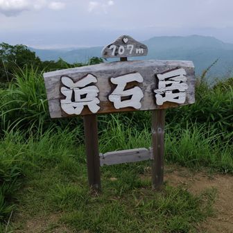 この標識の先には富士山が見えるはず。
残念