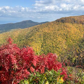 おお、いいではないか
定山渓もそろそろだね