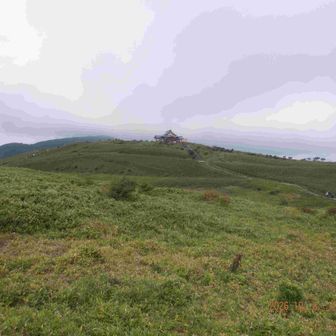 箱根中央火口丘の駒ヶ岳の中央は窪んでいる。カルデラ跡だろうか？周りを歩道で回る事が出来る