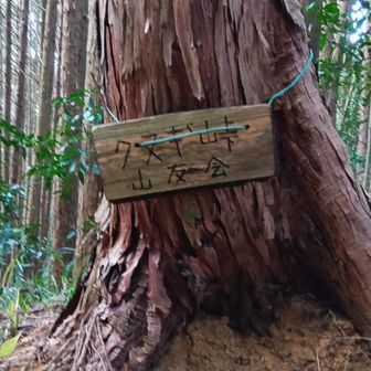 クヌギ峠 突入👣