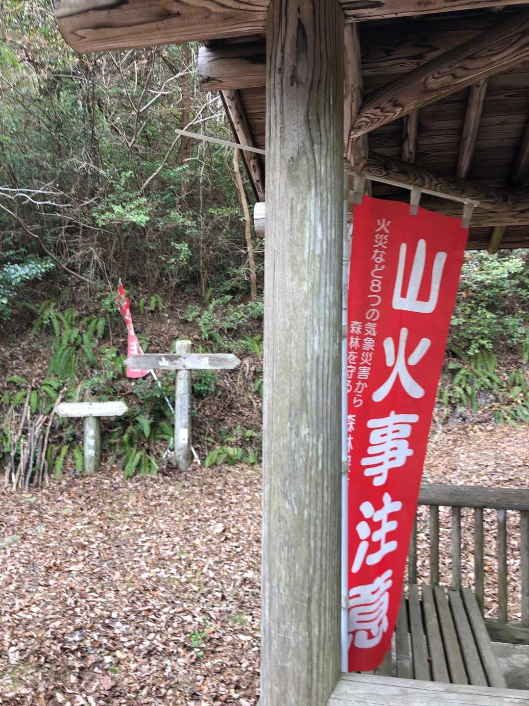 車道でここまで来れる