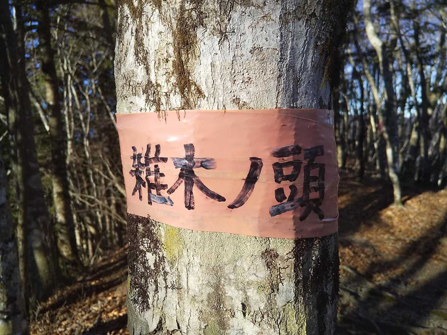 これが頂上標識