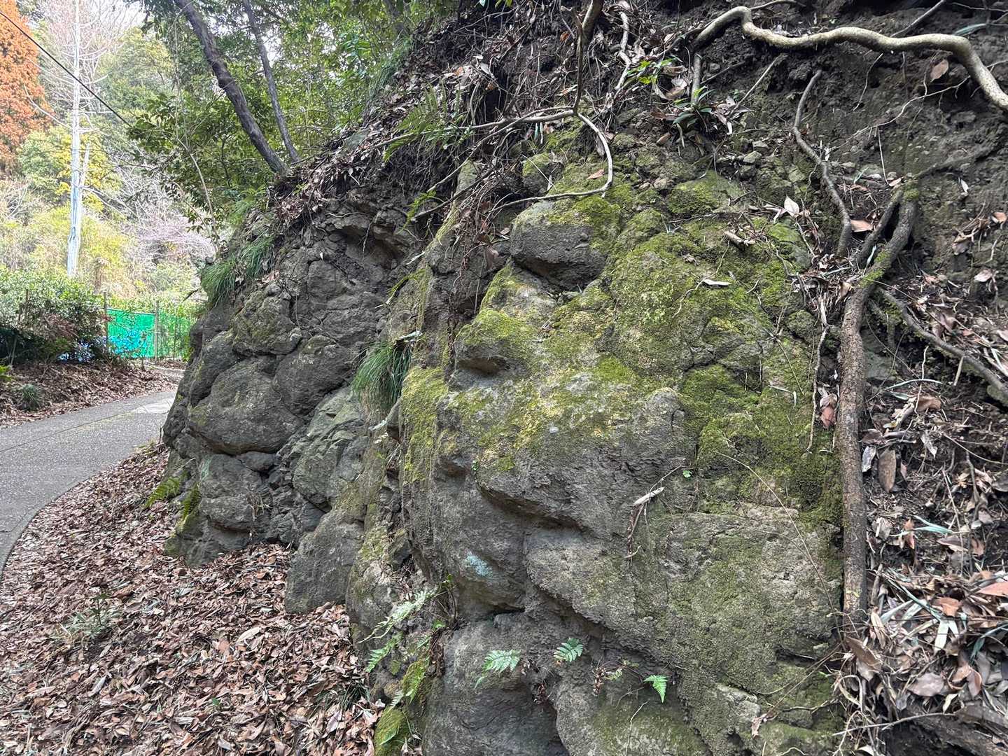 人面岩