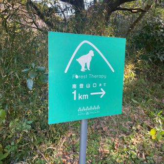 お猿に会えるかなー😁