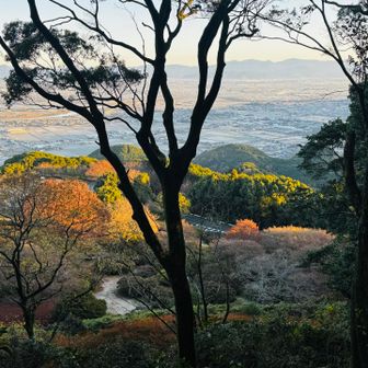 めっちゃ天気が良い〜♡ 紅葉🍁もギリ間に合った感じ。