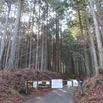 林道ゲート
ここまで車で来れるが手前にある駐車スペースは12〜3台しか置けずすでに満車🈵