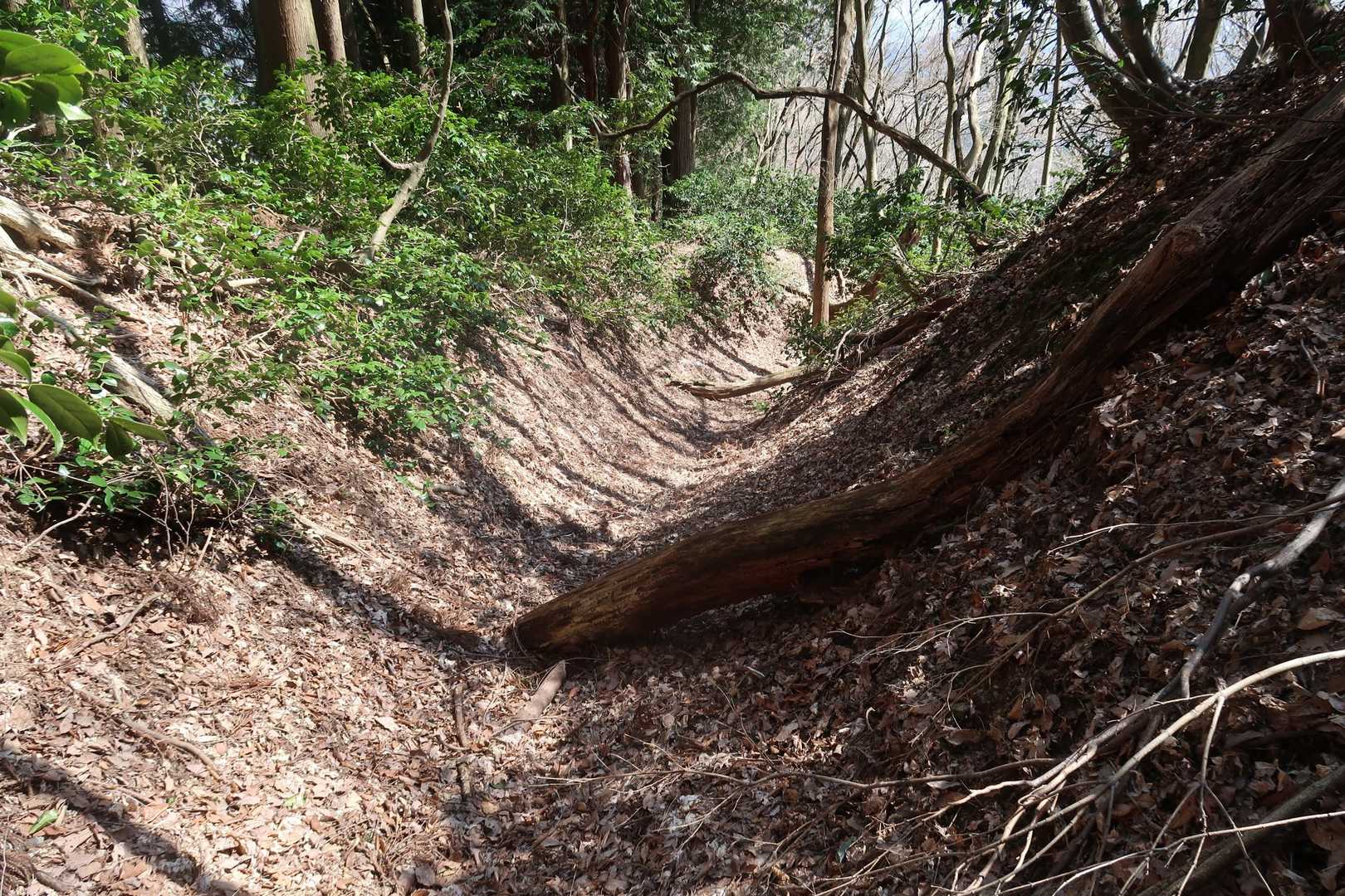 軍道のような堀底道