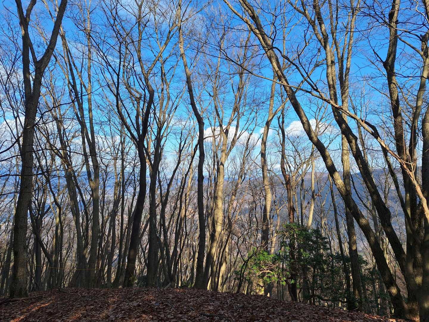 二子山雌岳山頂
