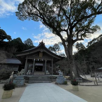 竈門神社は、お正月支度でした