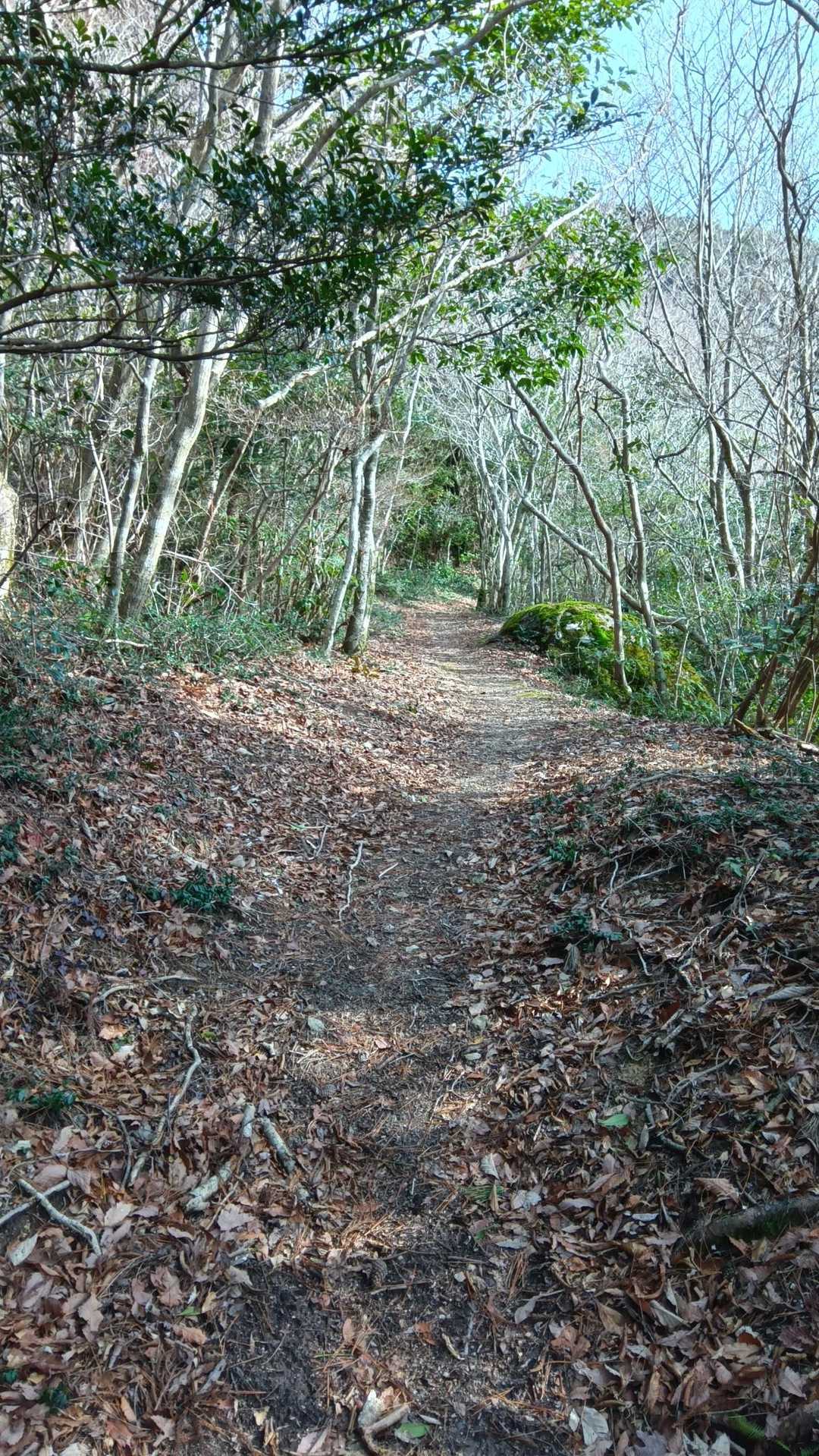 栗の木登山口-作礼山-897ピーク 往復コースの写真