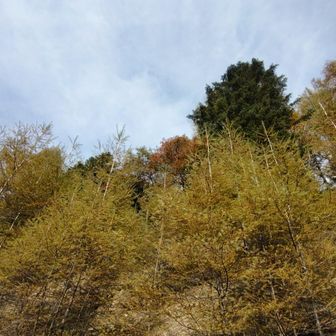こんな感じ🍂
んで〜無事下山しました🙇‍♂
山友達には本当にお世話になりました✨