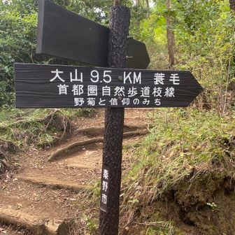 9.5ｋｍかぁ(・。・;