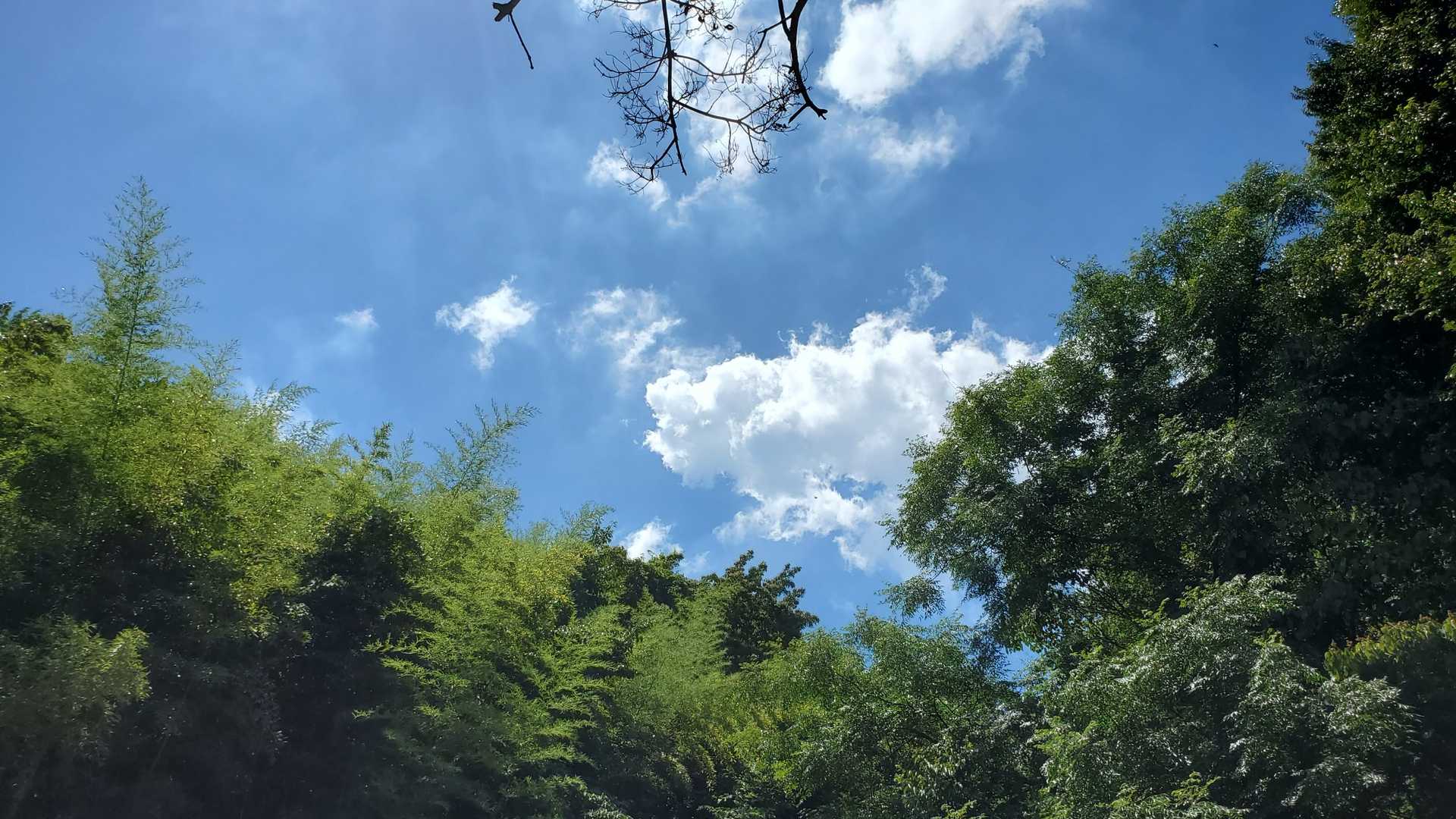 夏の青空 大好きです😄