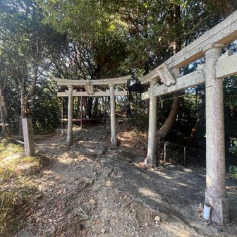 ちょっとした神社⛩️
