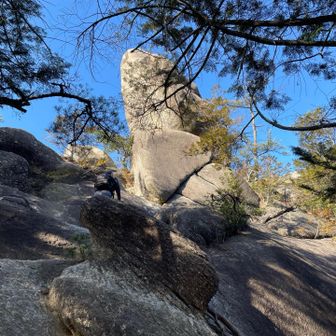 下から観るとデカい