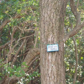 特別
なにもない山頂