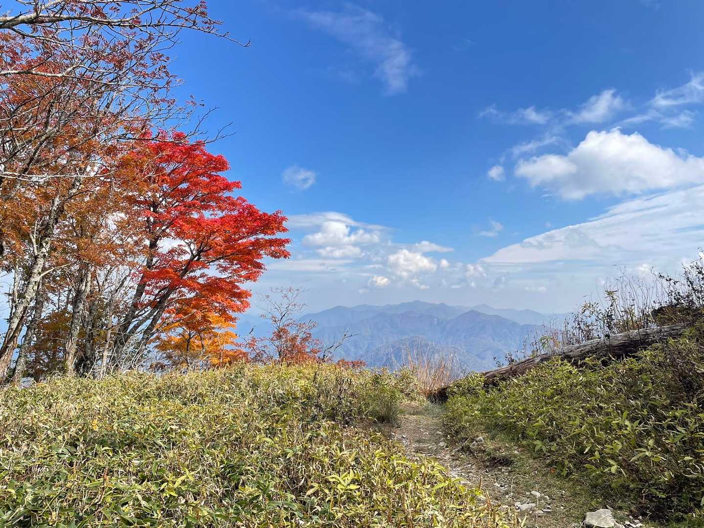 剣山 往復コースの写真
