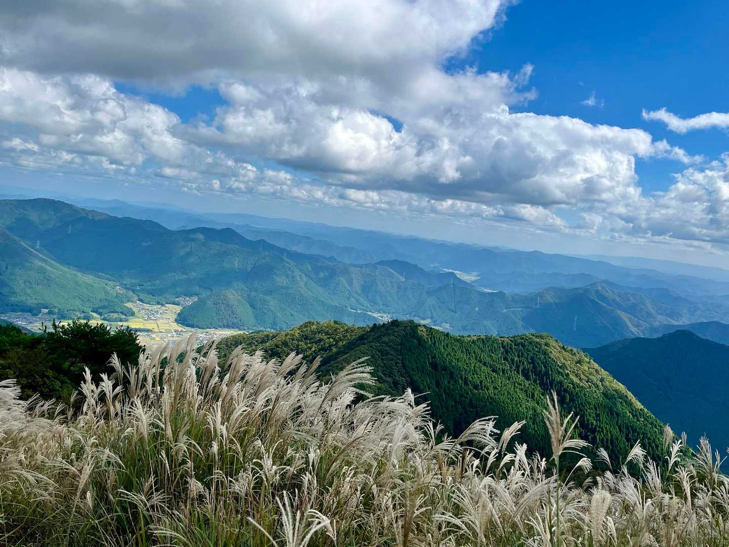 市原峠-千ヶ峰 往復コースの写真