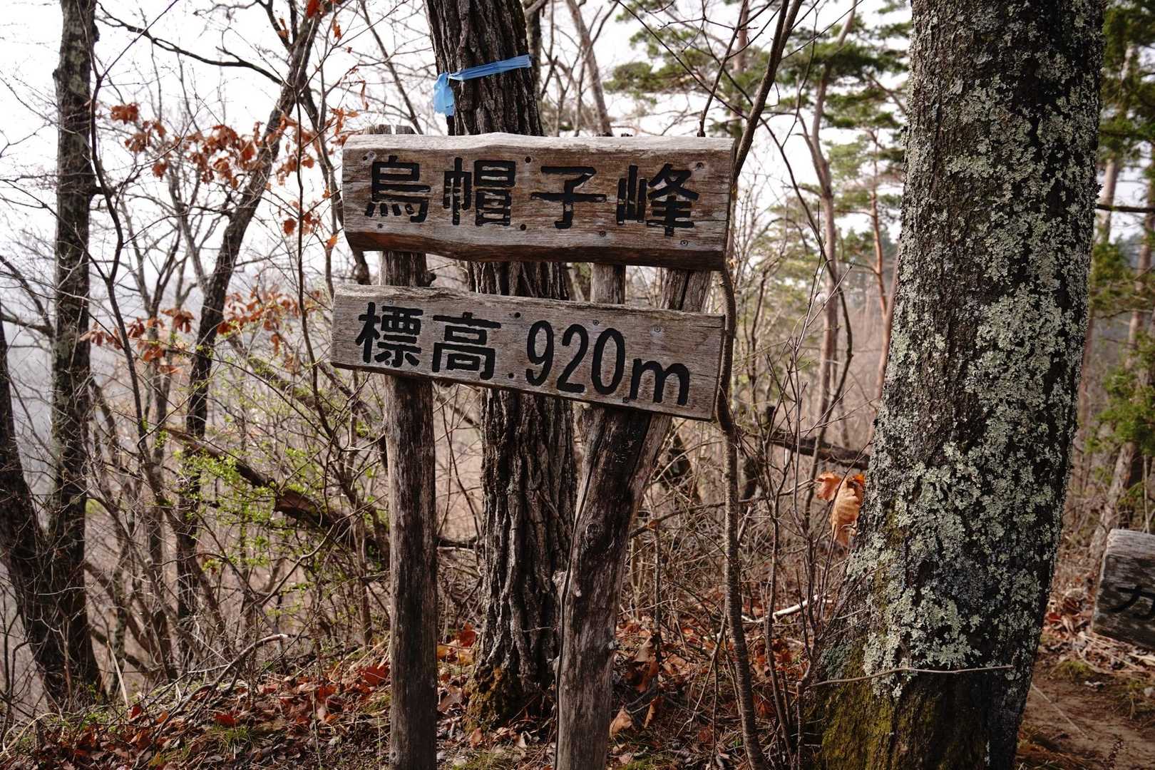 烏帽子峰 920m