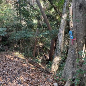 行きに歩いた道と交差して右手に進みます。