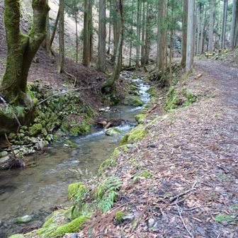 登りは汗拭峠へ
しばらく沢沿いの林道