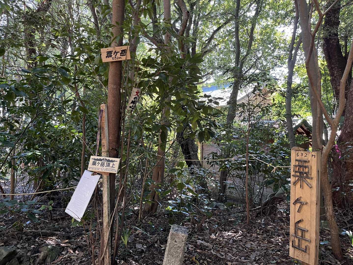 山頂👆