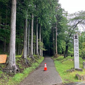 ここから三峰神社を離れ登山開始です。山道らしくなってきました。雲取山方面もこちらです。