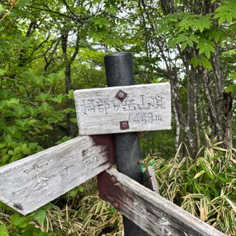 掃部岳山頂