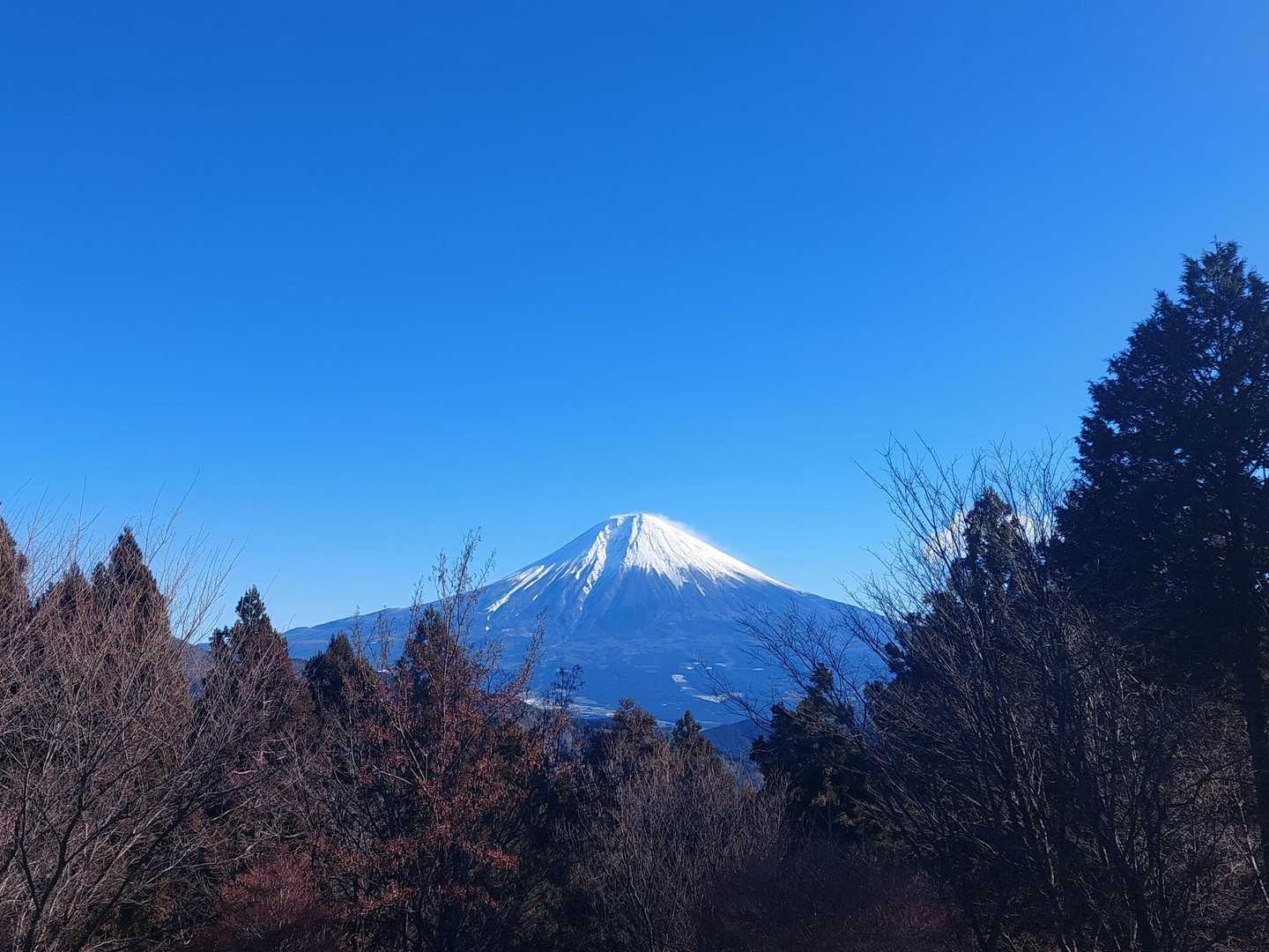 日本一🗻
