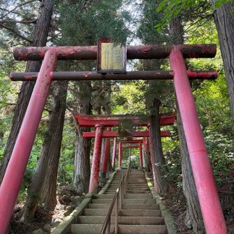 早朝の肌寒さはなくなったけど
まだ涼しい！
暑くなる前に下山しなくちゃ！
いっそげーーーー！