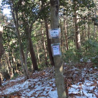 山頂にはプレートがいっぱいありました👍