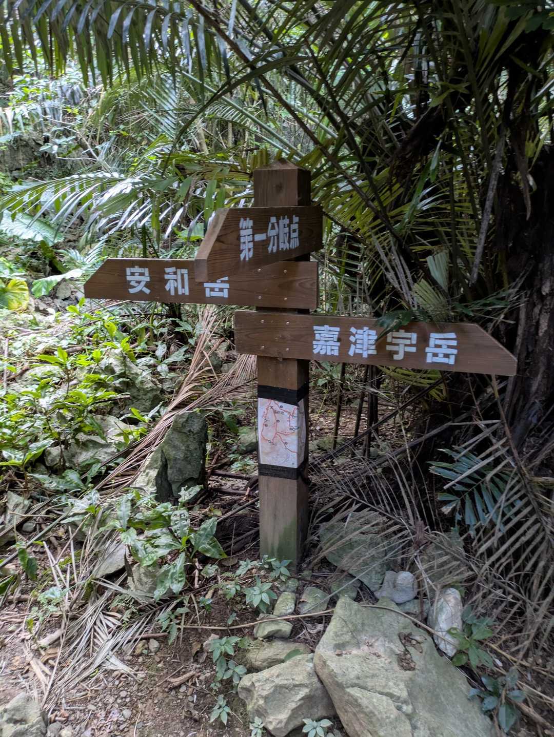 分岐点!安和岳を目指します!