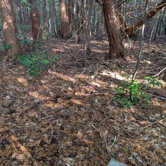 治郎丸山山頂
三等三角点　治郎丸