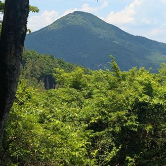 尼ヶ岳
伊賀富士やな