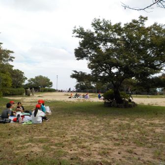 掬星台で食事してたら小学生の群れが現れた。指導の先生の指示が変に的確でおもしろかった。
下山路は史跡公園から青谷道。